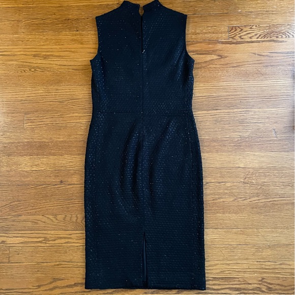 Calvin Klein Collection High-neck Elegant Black Sleeveless Dress - Picture 5 of 9